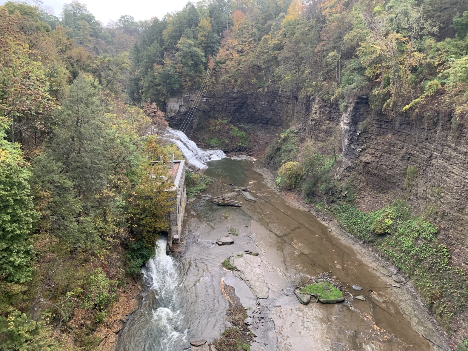 Why You Should Visit The Fall Creek Suspension Bridge In Ithaca New