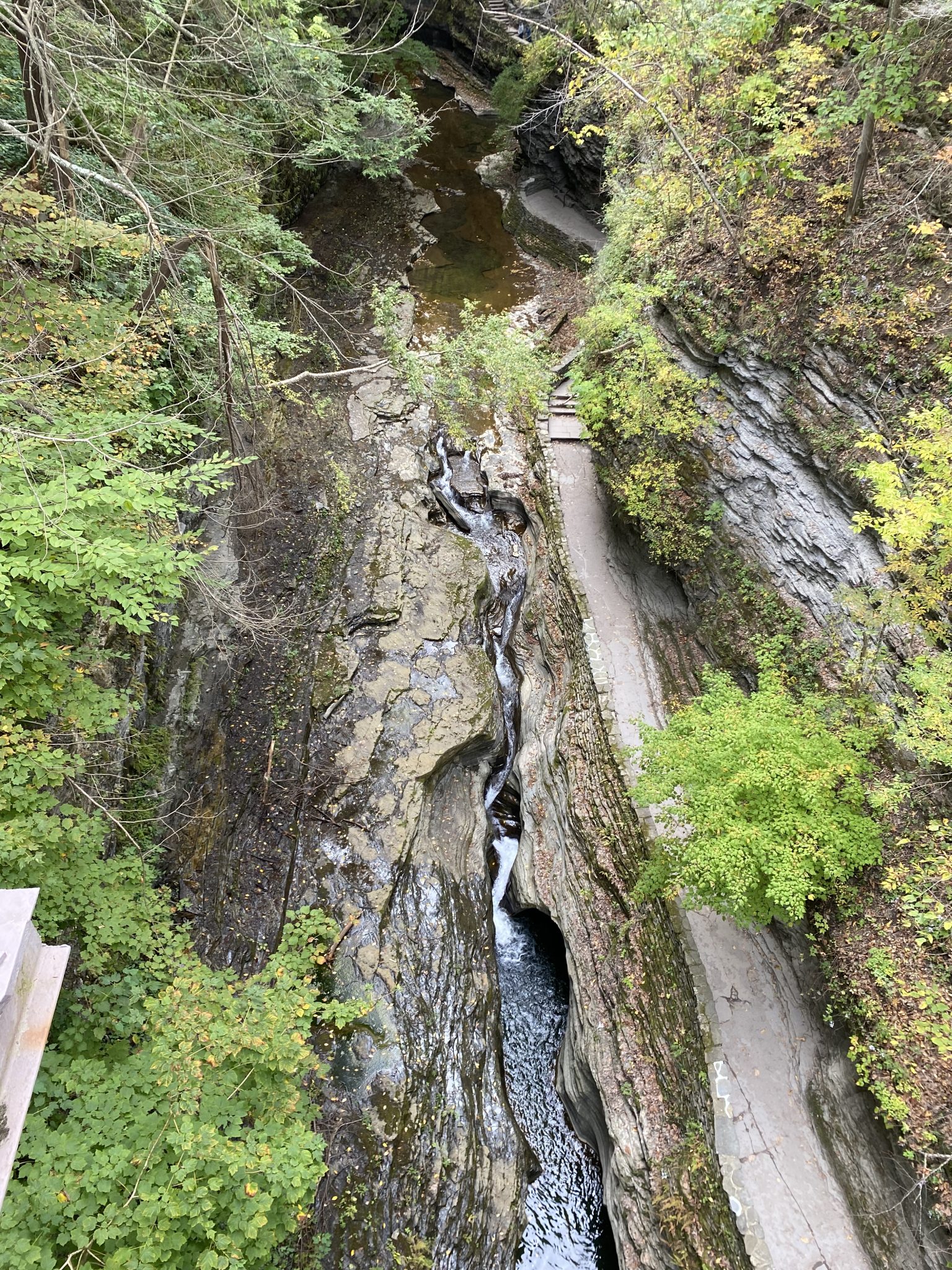 Hiking In Watkins Glen State Park Northeast Allie