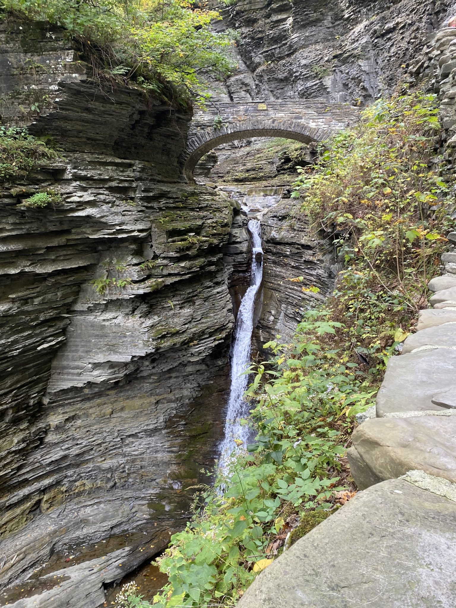 Hiking In Watkins Glen State Park Northeast Allie
