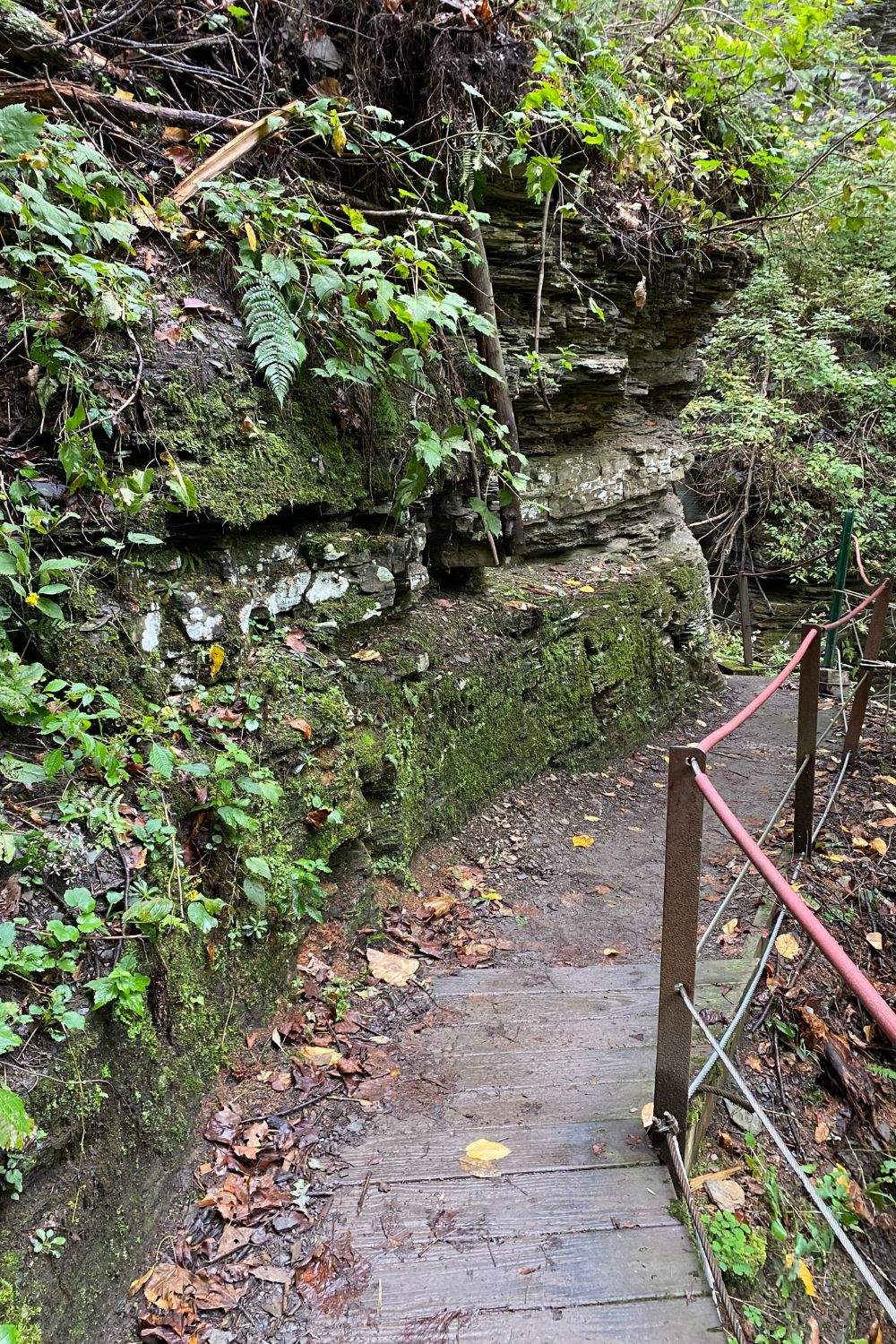 Path To Eagle Cliff Falls