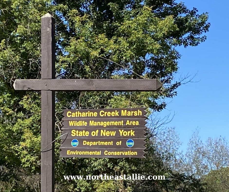 Catherine Creek Marsh