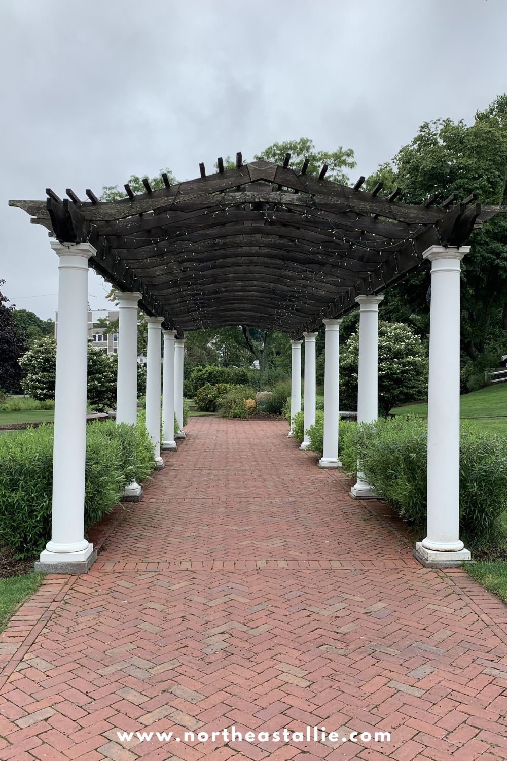 Northeast Allie Brewster Gardens