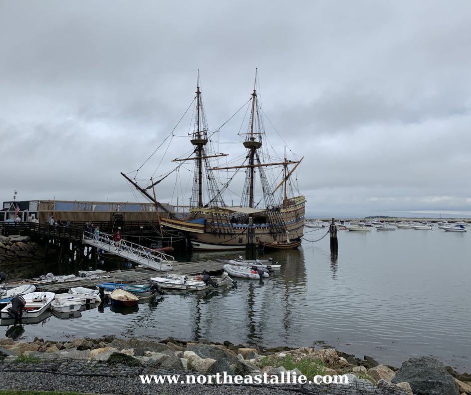 Northeast Allie Mayflower II