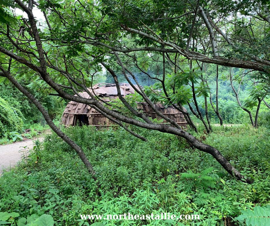 Northeast Allie Plimoth Patuxet