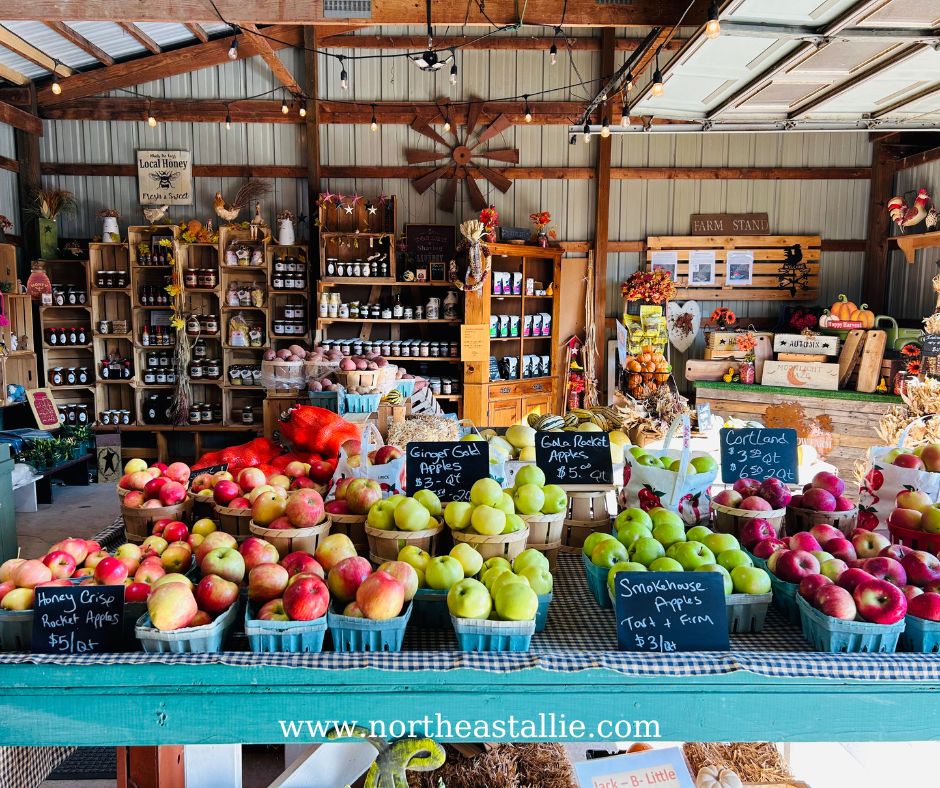 Northeast Allie Cedar Hollow Farm
