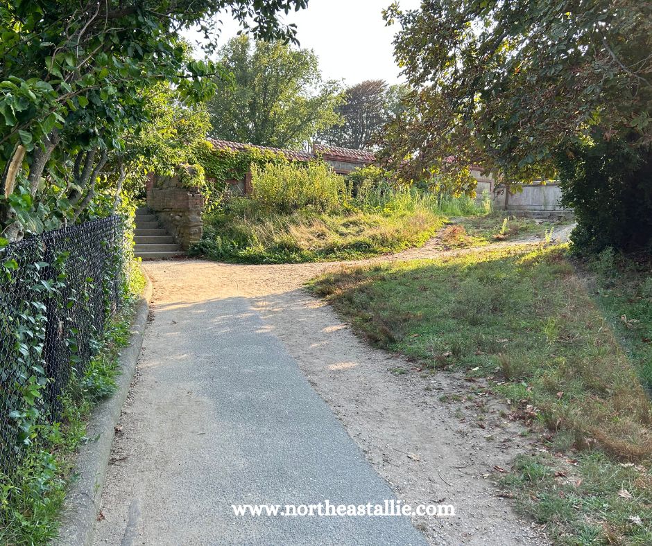 Cliff Walk Newport Rhode Island