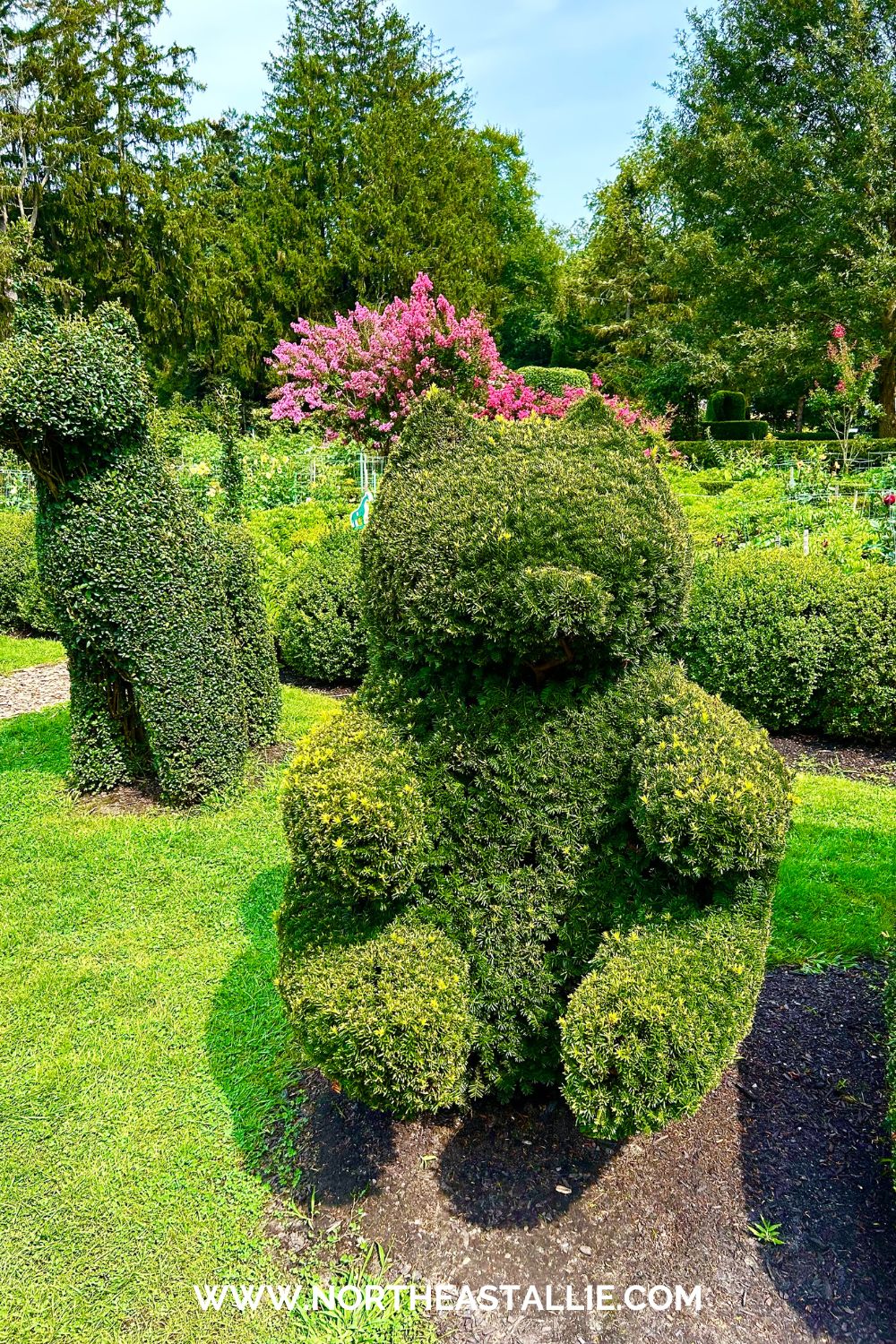 Northeast Allie Green Animals Topiary Garden