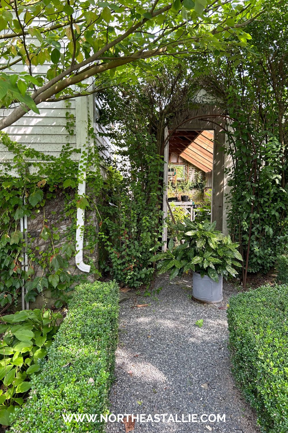 Northeast Allie Green Animals Topiary Garden