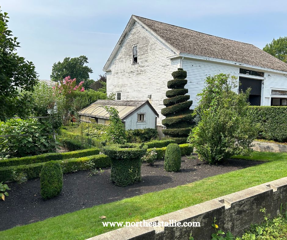 Northeast Allie Green Animals Topiary Garden