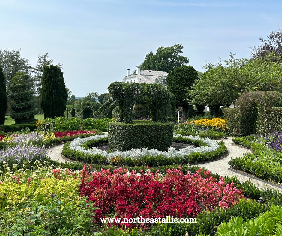 Northeast Allie Green Animals Topiary Garden