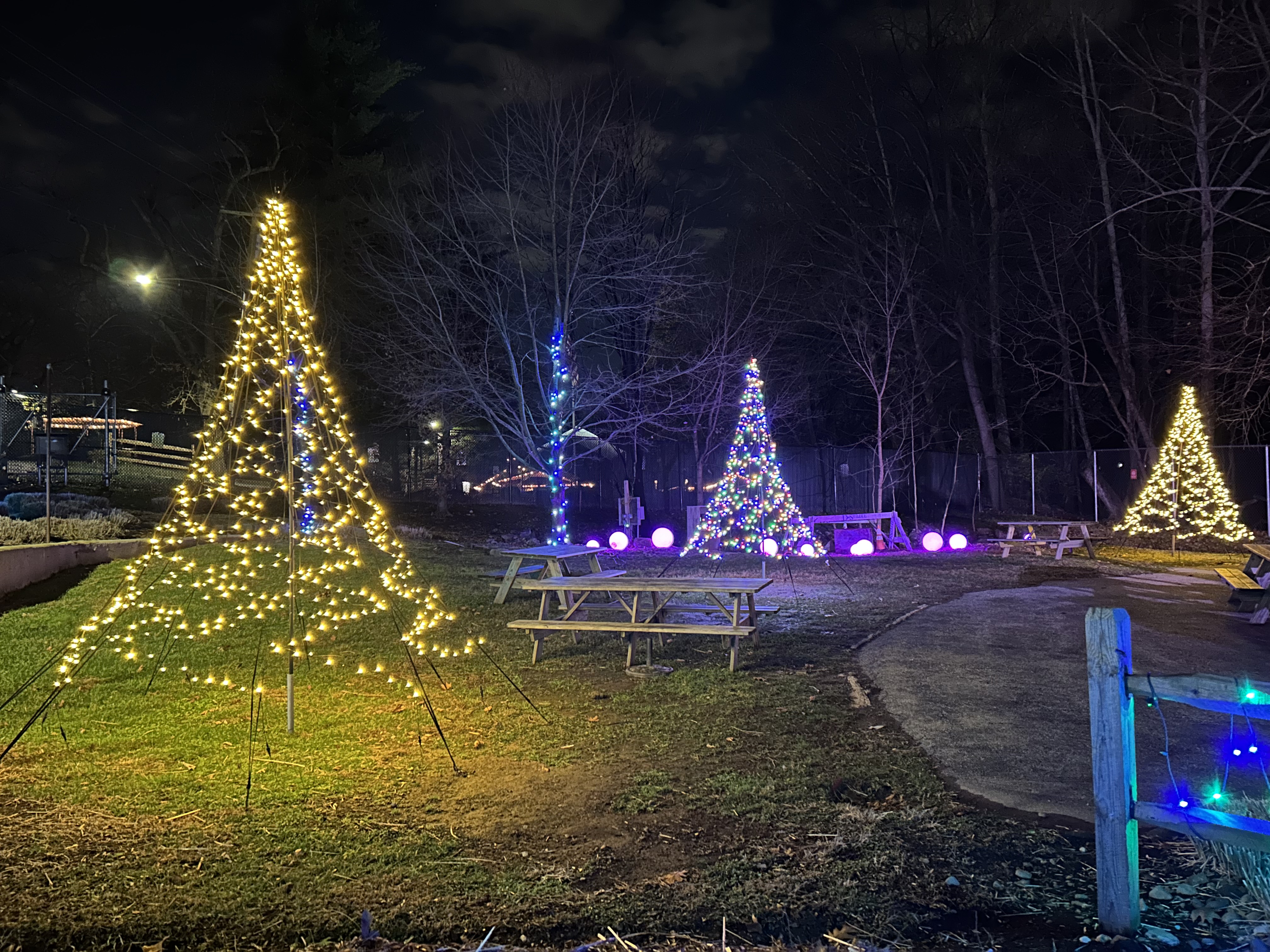 Wild Lights Elmwood Park Zoo