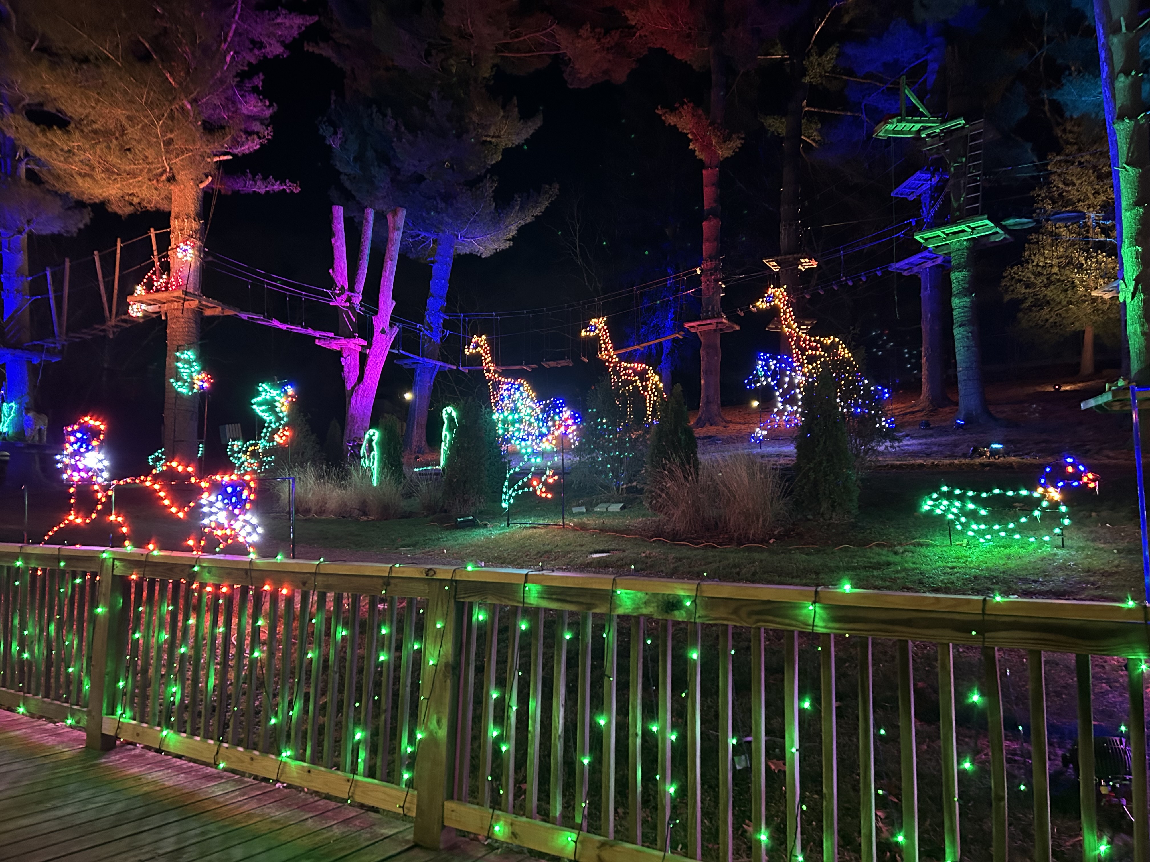 Elmwood Park Zoo Wild Lights