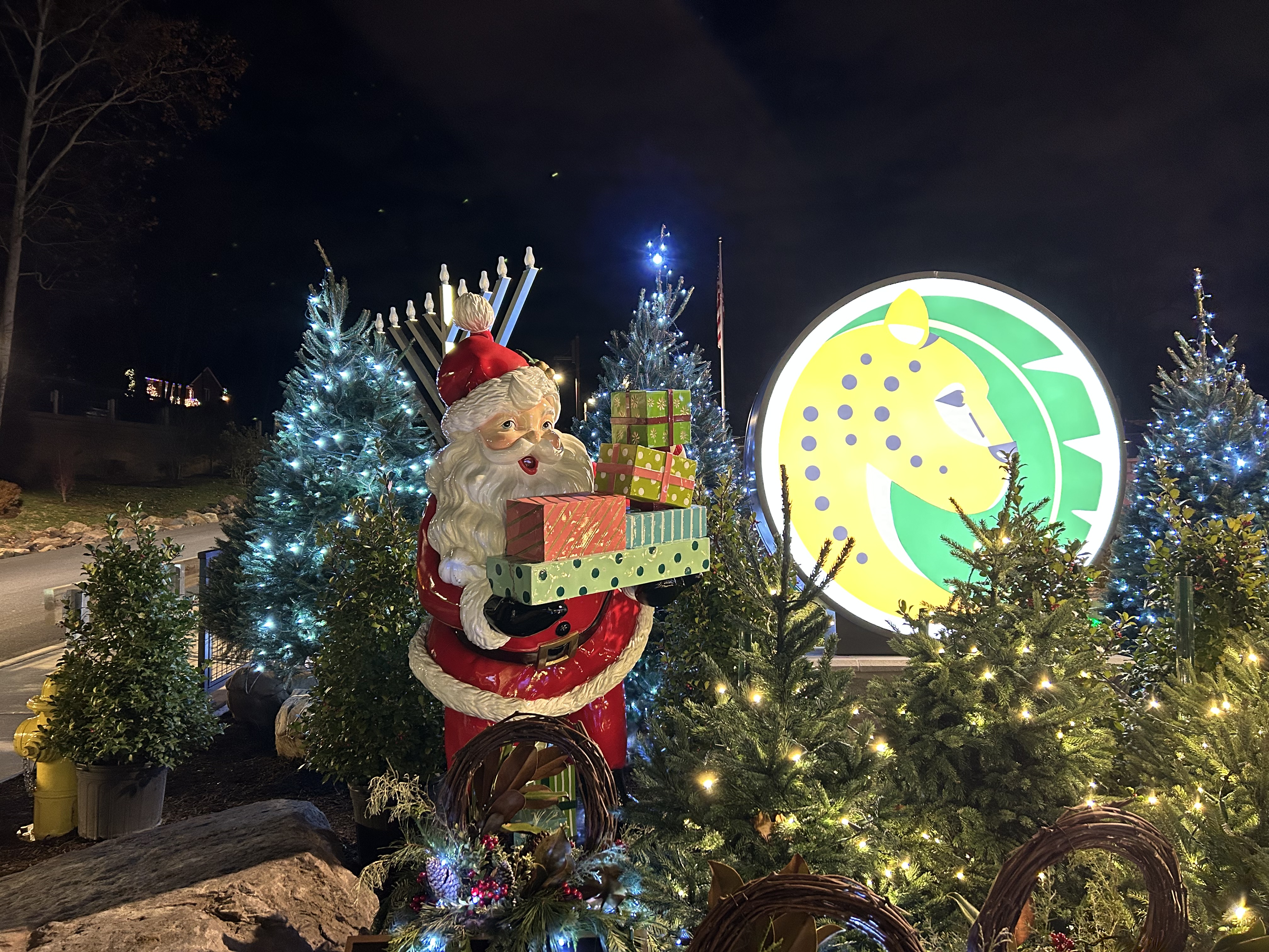 Elmwood Park Zoo Wild Lights