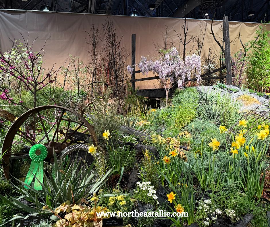 Northeast Allie Philadelphia Flower Show