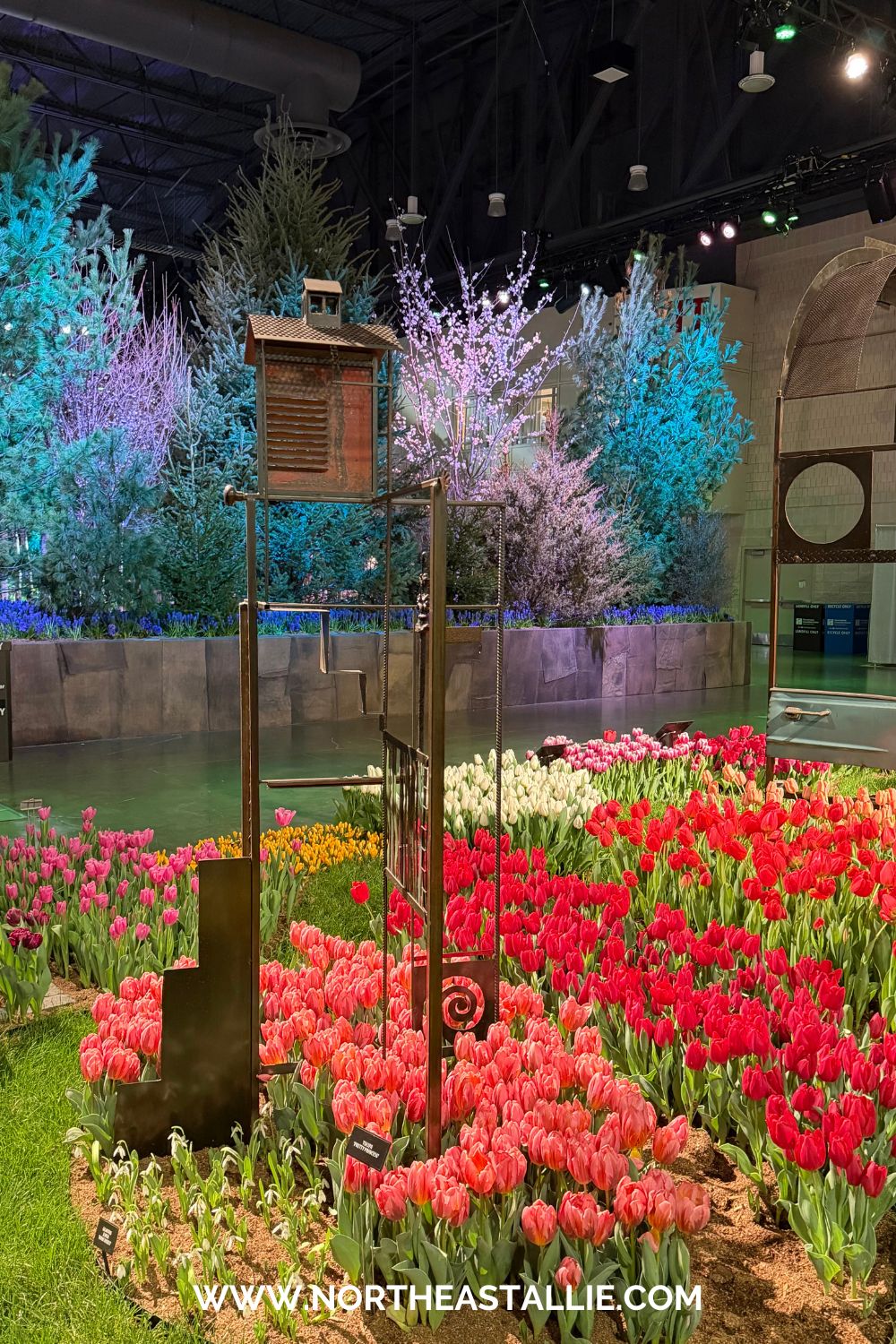 Northeast Allie Philadelphia Flower Show